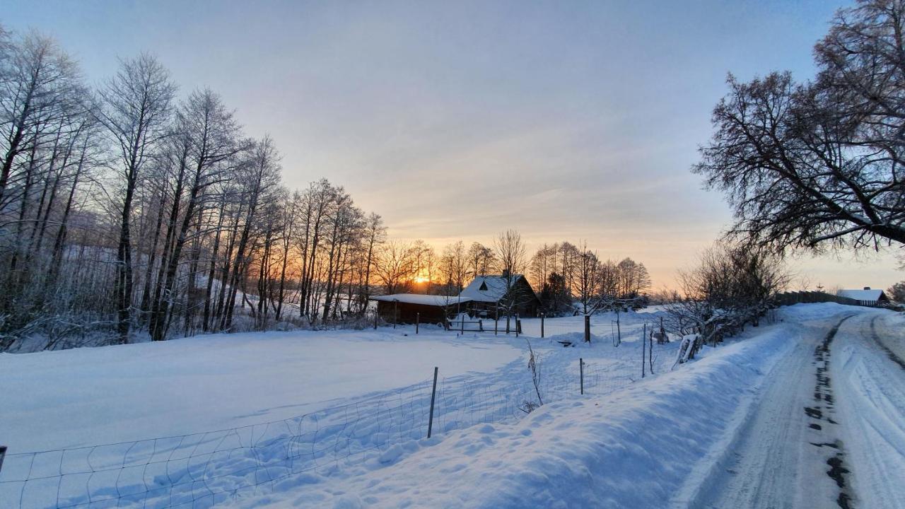 Sunny Beaver B&B Trakai Extérieur photo
